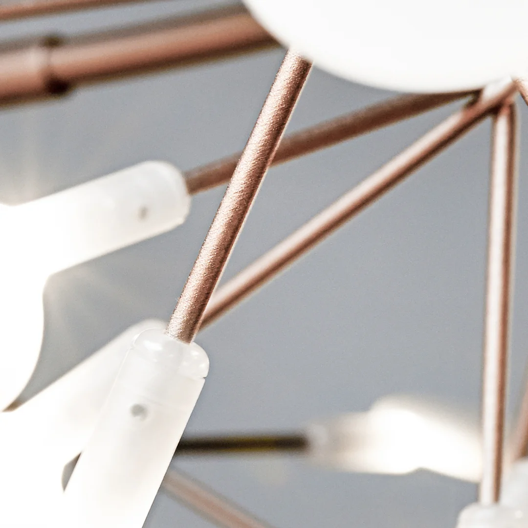 Heracleum Copper